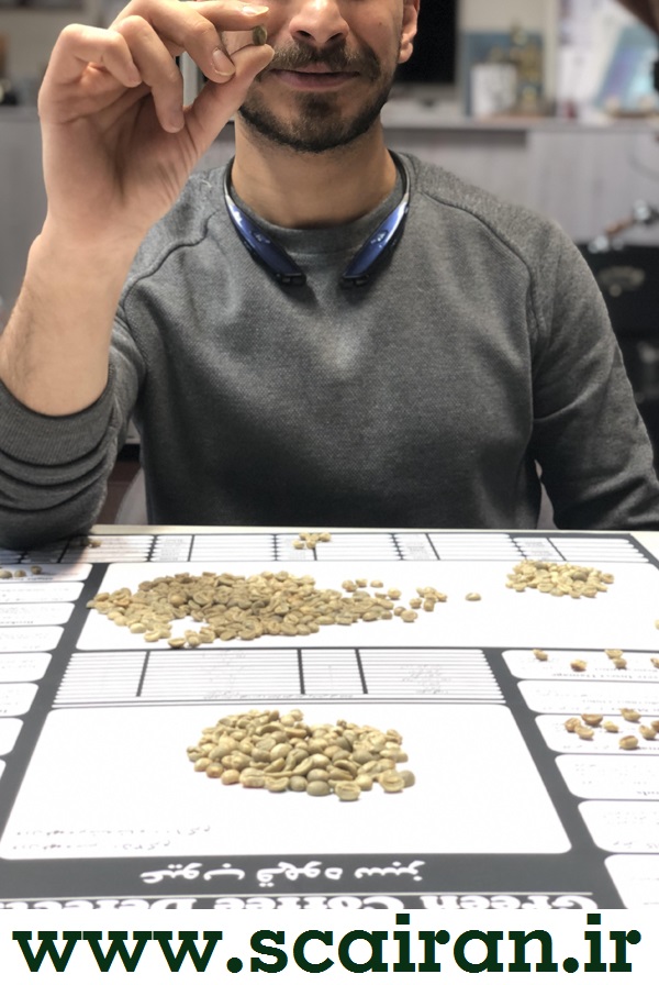 عیوب و نواقص در دانه سبز قهوه Green Coffee Defect 