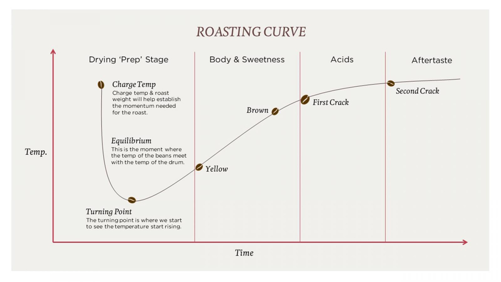 توسعه اسید در طول برشته کاری قهوه Development Of Acids During Roasting