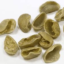 صدفی Shell