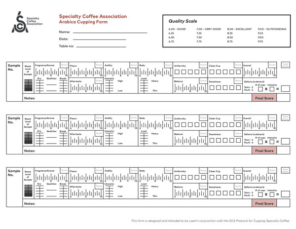 قهوه آزمایی Cupping