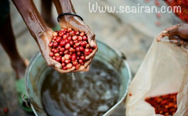 برده داری نوین