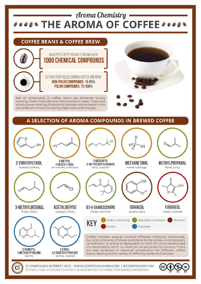 توسعه آروما در طول برشته کاری قهوه Aroma Development During Roasting