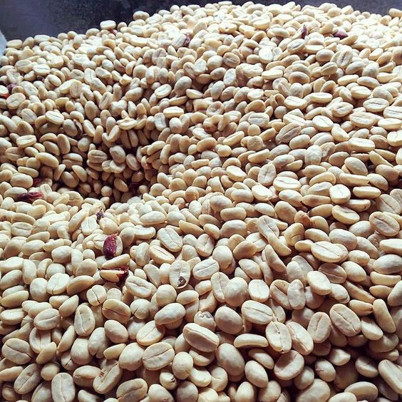 پوست گیری، جدا سازی پار شومنت از دانه های قهوه Hulling *