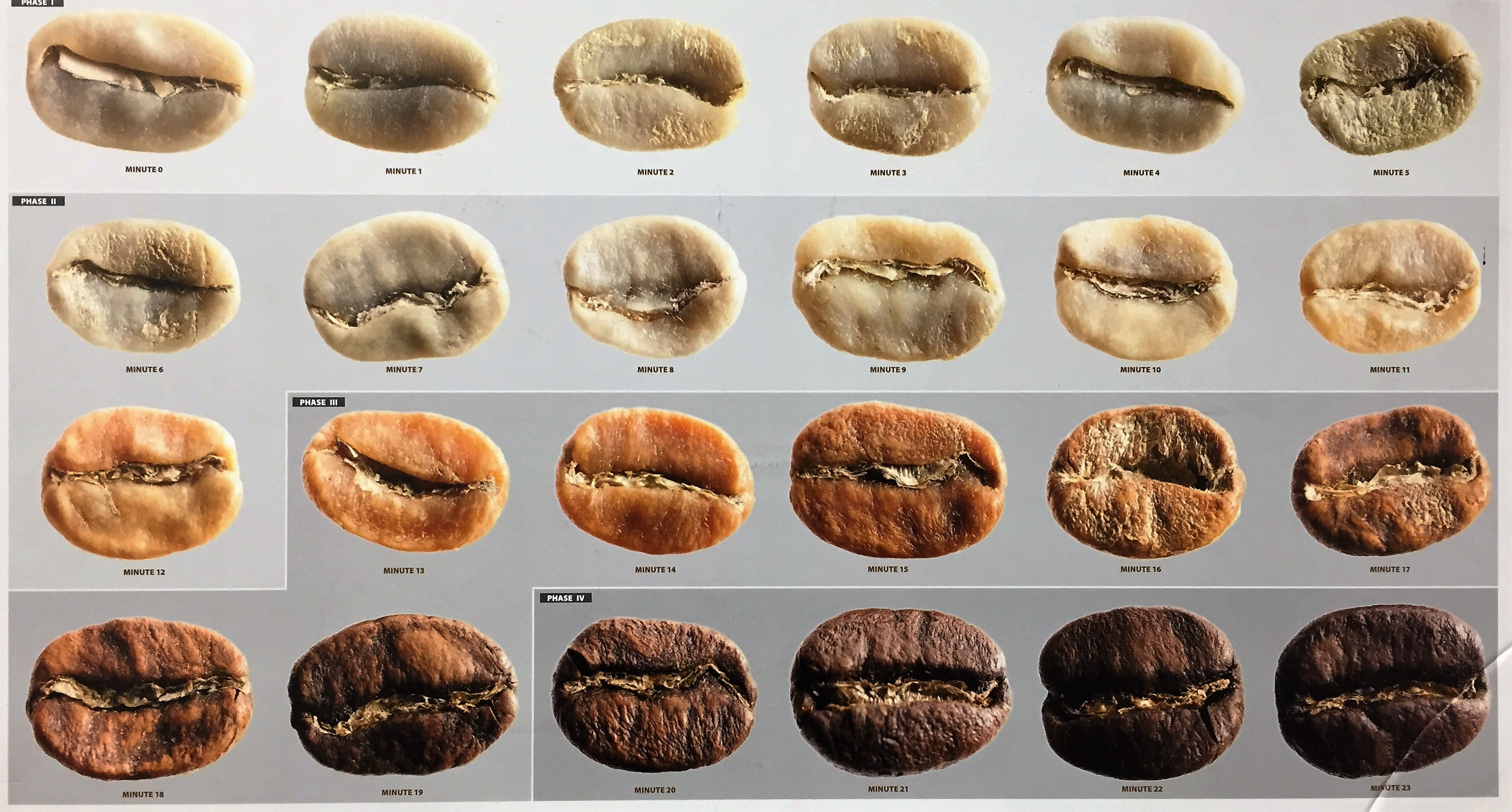 مشخصات تفت دانه های قهوه- Roasting Process *