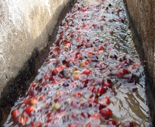 شستشو و جداسازی wet milling *