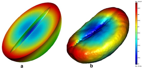 انتقال جرم و انرژی در داخل قهوه  Heat and Mass Transfer Within Coffee Bean