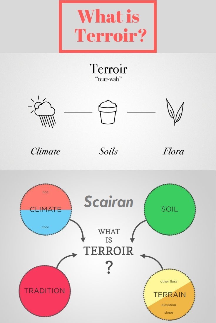 تررواق Terroir*