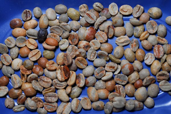 اصطلاح تریاژ Triage Coffee
