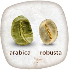 ربوستا Robusta