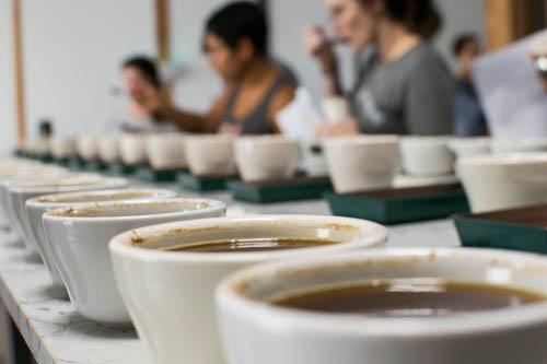 توصیه های قهوه آزمایی Cupping Recommendation